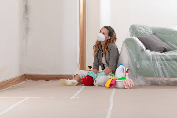 Reliable Mold Remediation contractor in Peachtree Corners, GA by 24 Hour Mold Removal